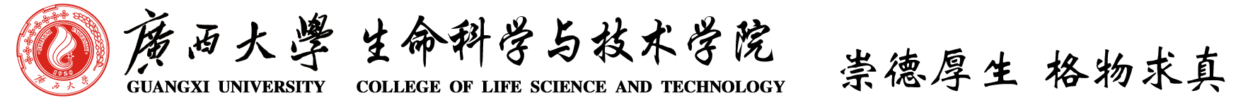 VKGAME威客电竞